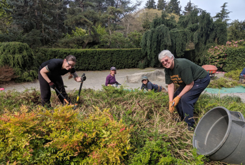 Volunteers at Tuesdays in the Garden (ddr-densho-354-2493)