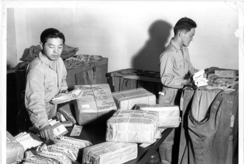 Nisei mail clerks (ddr-densho-114-143)