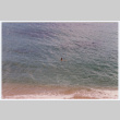 Swimmer in ocean (ddr-densho-368-296)
