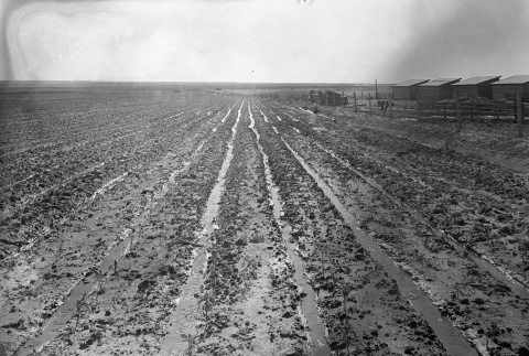 View of muddy agricultural fields (ddr-fom-1-10)