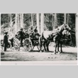A horse-drawn wagon on Mt. Rainier (ddr-densho-353-399)