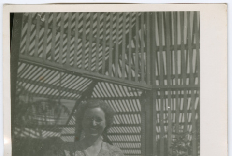Woman in greenhouse (ddr-densho-329-770)