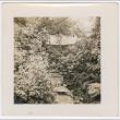 Stone steps (ddr-densho-377-2254)
