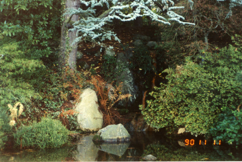 Japanese Garden pond with waterfall (ddr-densho-354-226)