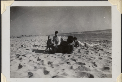 Three men and small dog on beach (ddr-densho-466-864)