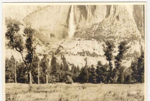 Trees at the base of a waterfall (ddr-densho-542-832)