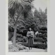 Woman and palm tree (ddr-densho-252-114)