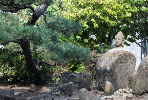 Garden at Alameda Buddhist Temple (ddr-densho-512-92)