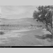 Manzanar fields (ddr-densho-153-259)