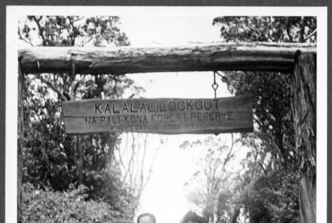 Kalalau Lookout (ddr-densho-363-176)