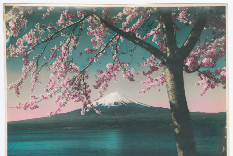 Colorized Mount Fujii in spring (ddr-densho-550-324)