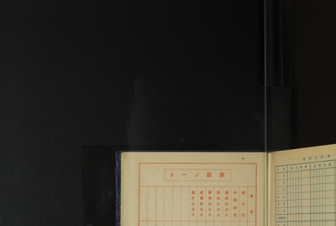 Page 413 (ddr-densho-255-18-master-019cc18a02)