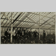 Hayward greenhouse (ddr-densho-357-597)