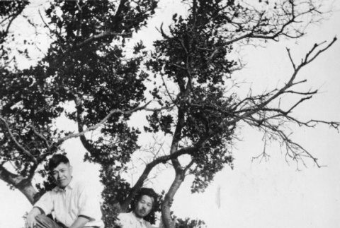 Mataichi and Hatsuyo Ozeki with two unidentified men in tree (ddr-ajah-6-807)