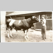 Robert H. Foote, age 16, with a bull (ddr-densho-1007-588)