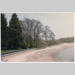 Beach (ddr-densho-377-2480)