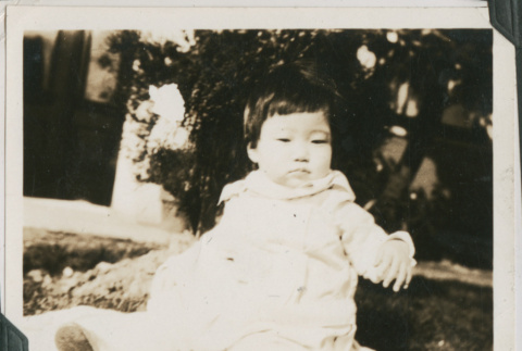 Photo of baby (ddr-densho-355-411)