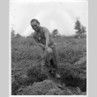 Nisei soldier digging a trench (ddr-densho-114-47)