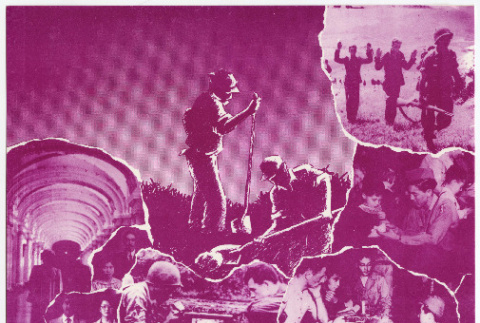 Color of Honor postcard (ddr-densho-1007-1367)