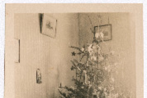 Christmas Tree (ddr-densho-335-172)