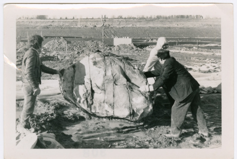 Moving boulder (ddr-densho-377-2222)