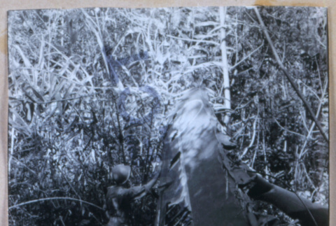 Downed plane (ddr-densho-1007-669)