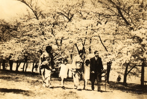 Hiroshi Saito and his family looking at cherry blossom trees (ddr-njpa-4-2536)