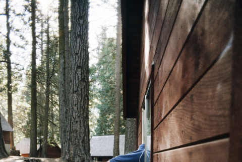 Camper leaning in a cabin window (ddr-densho-336-1708)