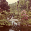 Pond and willows (ddr-densho-354-565)