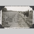 Group of soldiers walking down row of crosses in cemetery (ddr-densho-466-689)