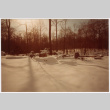 Snowy rocks in forest (ddr-densho-377-2584)