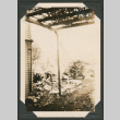 Snowy yard (ddr-densho-433-811)