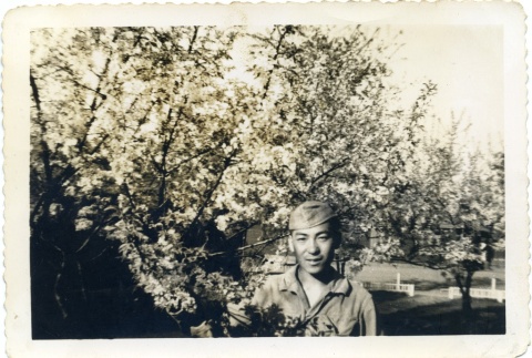 Herbert K. Yanamura standing next to a flowering tree (ddr-densho-22-401)