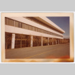 Trees lining building (ddr-densho-377-2182)