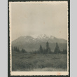 Mt. Shasta (ddr-densho-378-1068)