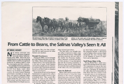 From Cattle to Beans, the Salinas Valley's Seen It All (ddr-densho-501-380)