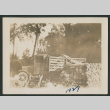 truck and wood pile (ddr-densho-378-469)