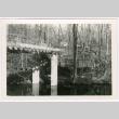 Deck bridge (ddr-densho-377-2504)