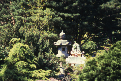 Japanese Garden, Eyeglass Bridge and stone lantern (ddr-densho-354-1237)