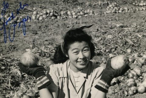 Camp inmate harvesting onions (ddr-densho-159-84)
