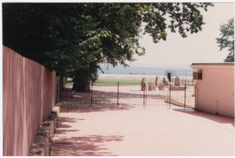 Yard behind fence (ddr-densho-377-1882)