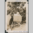 Baby in baby carriage (ddr-densho-483-592)