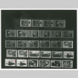 Contact sheet (ddr-densho-1007-421)