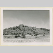 View of the Honor Roll monument from below (ddr-densho-37-1110)