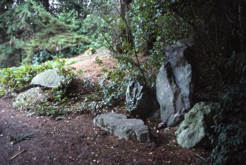 Stones in the Garden (ddr-densho-354-1189)