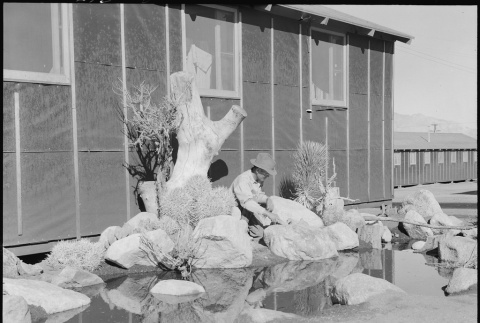 Japanese American working in garden (ddr-densho-151-425)