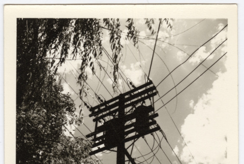 View of a power line pole (ddr-densho-542-855)