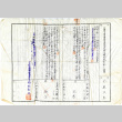 Family register certification for Tsugitada Kanamori, in Japanese (ddr-csujad-12-20)