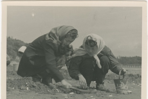Women digging on beach (ddr-densho-326-29)