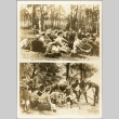 Photographs of Hitler Youth (ddr-njpa-13-4)